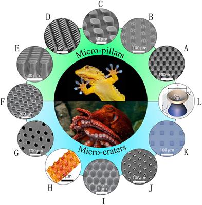 Mechanics of Crater-Enabled Soft Dry Adhesives: A Review